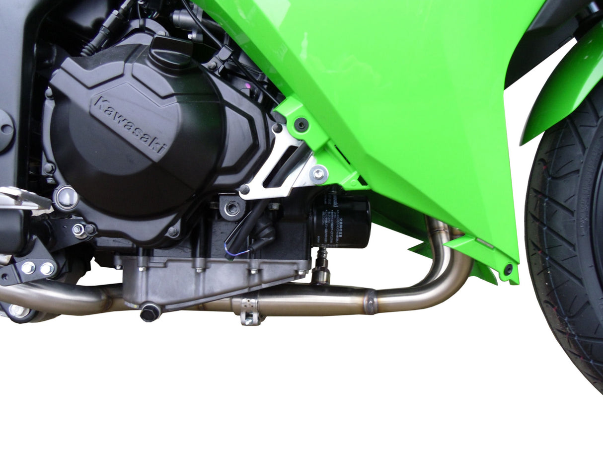 Kawasaki Ninja 300R 2012-2017 Exhaust GPR Full System Deeptone Inox