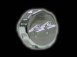 Honda "RR" Engraved oil cap- Chrome