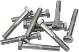 DRAG SPECIALTIES Bolts - Hex-Head - Chrome - 5/16"-18 x 1-3/4" MPB128