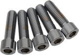 DRAG SPECIALTIES Bolts - Socket-Head - Smooth - 1/2" x 13 x 1-1/2" MPB694S