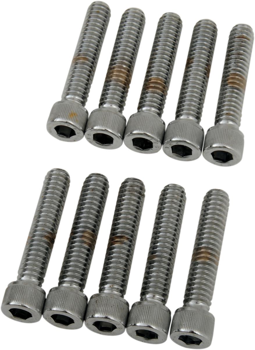 DRAG SPECIALTIES Bolts - Socket-Head - Knurled - 1/4-20 x 1-1/4" MPB182