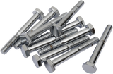 DRAG SPECIALTIES Bolts - Hex-Head - Chrome - 1/4"-20 x 2" MPB120