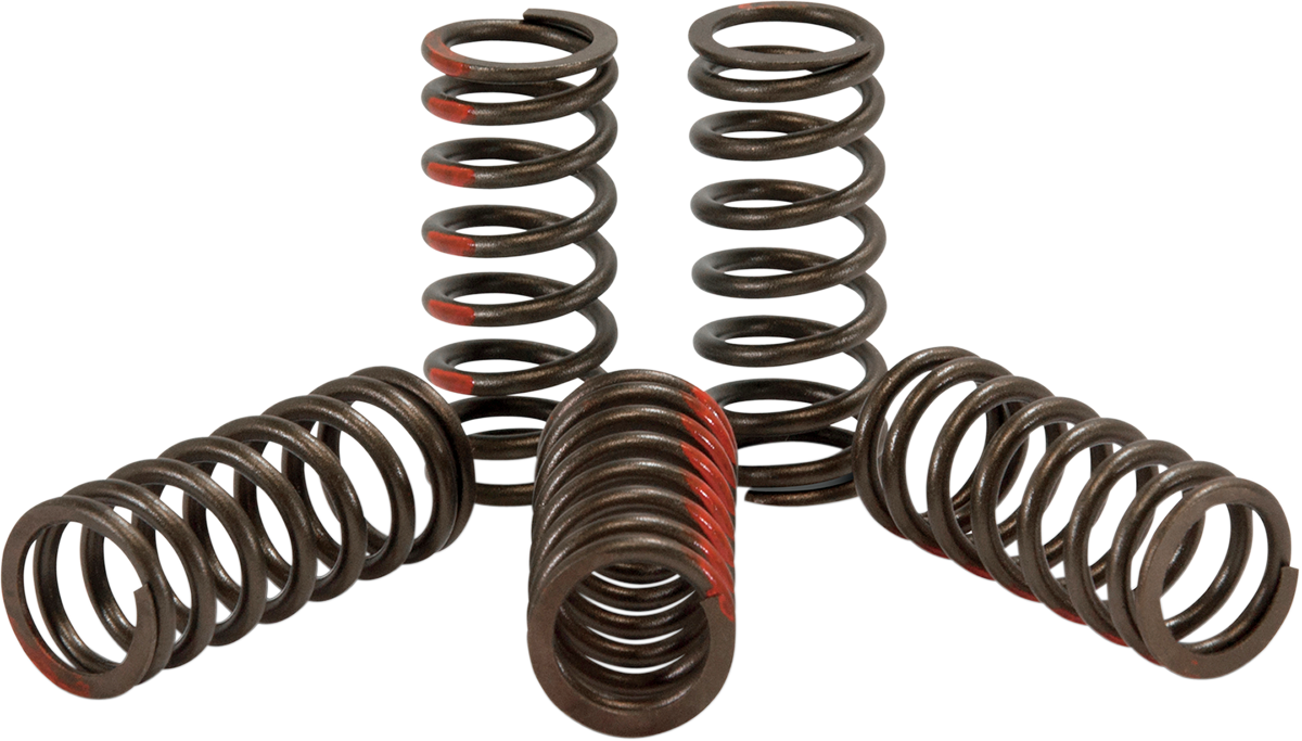 PRO CIRCUIT Clutch Springs CST09250