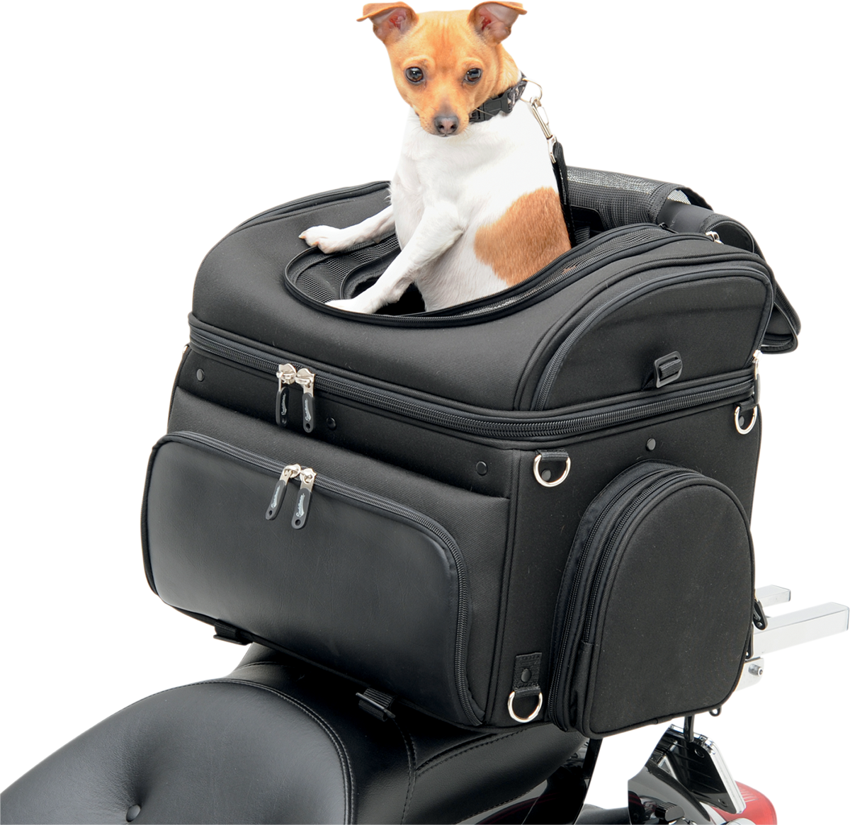 SADDLEMEN Pet Voyager EX000627