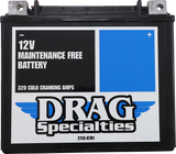 DRAG SPECIALTIES AGM Maintenance-Free Battery - YTX20HLBSFT For Harley  CTX20HL-BS FT