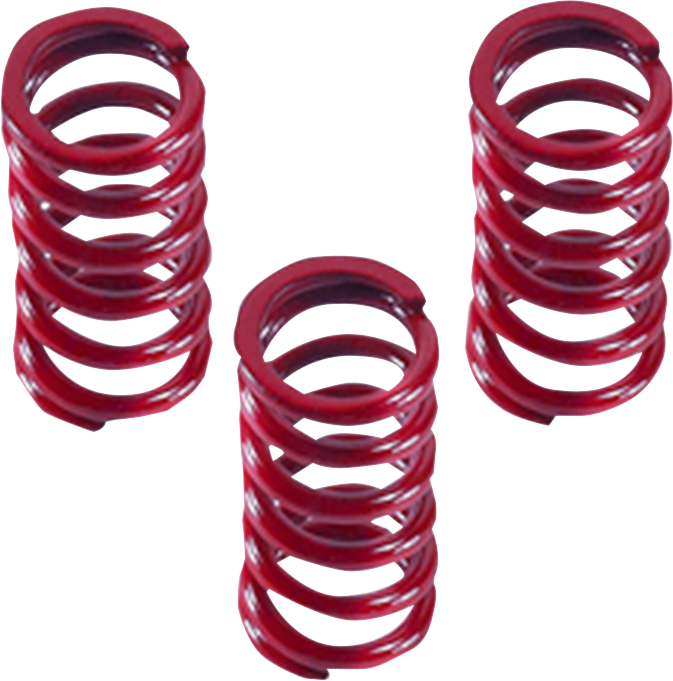 DRAG SPECIALTIES Clutch Springs 11313616