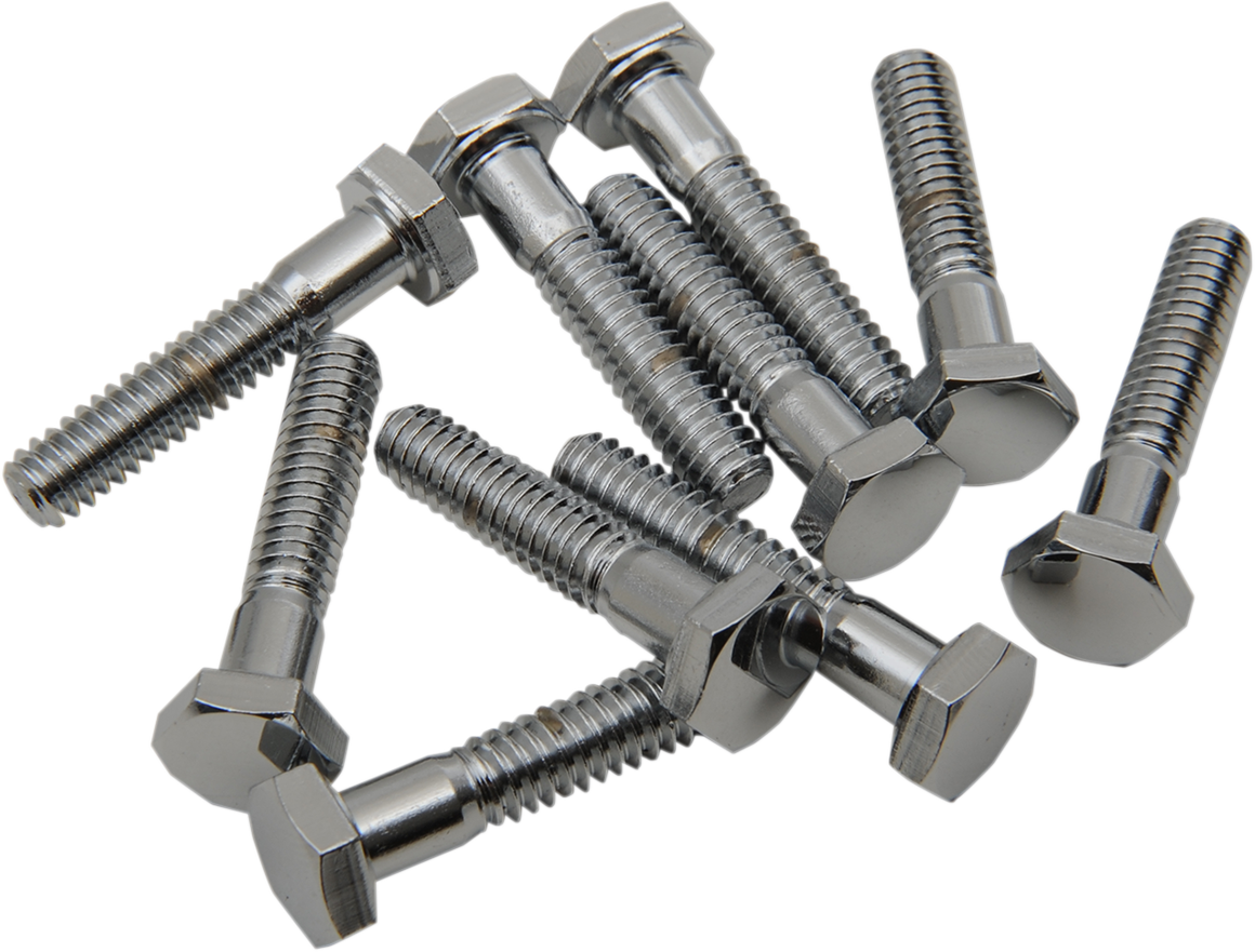 DRAG SPECIALTIES Bolts - Hex-Head - Chrome - 1/4"-20 x 1" MPB116