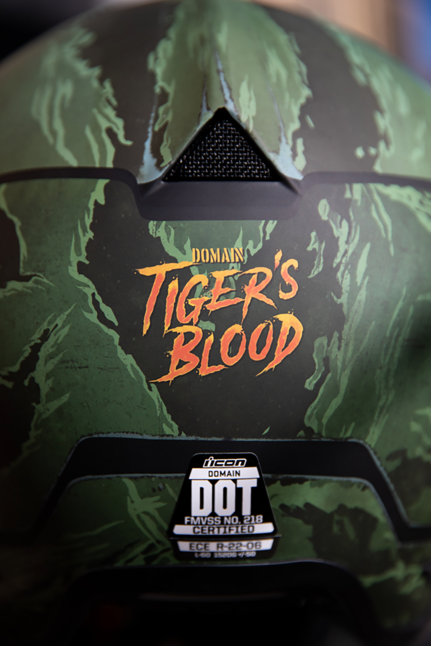 ICON Domain™ Motorcycle Helmet - Tiger's Blood - Green - XS 0101-14923