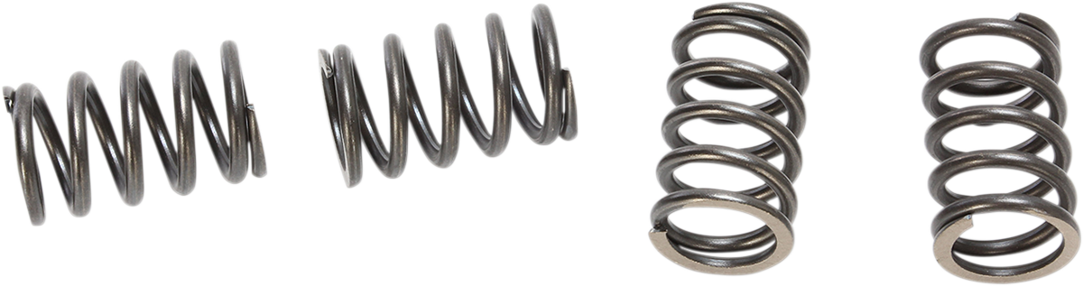 BBR MOTORSPORTS HD Clutch Springs - DRZ/KLX110 410-KLX-1105