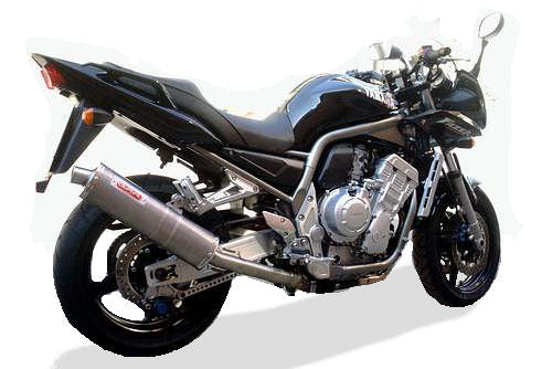 GPR Exhaust System Yamaha Fzs 1000 Fazer 2001-2005, Albus Ceramic, Slip-on Exhaust Including Removable DB Killer and Link Pipe