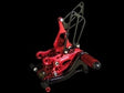 Honda CBR 929-954 Rearsets Red