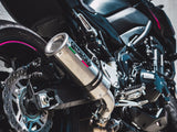 GPR Exhaust System Kawasaki Z900 - ZR900B Full Power 2017-2019, M3 Titanium Natural, Slip-on Exhaust Including Removable DB Killer and Link Pipe