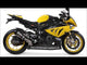 Bmw S1000RR - M 2010-2014 Exhaust GPR Slip-on Deeptone Inox