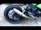 Kawasaki Ninja 300R 2012-2017  Exhaust GPR Slip-on Furore Nero